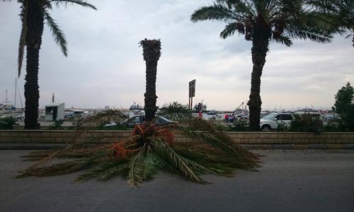 أول غيث الأمطار.. فيضانات في الطرقات ونفايات تسبح في شوارع بيروت