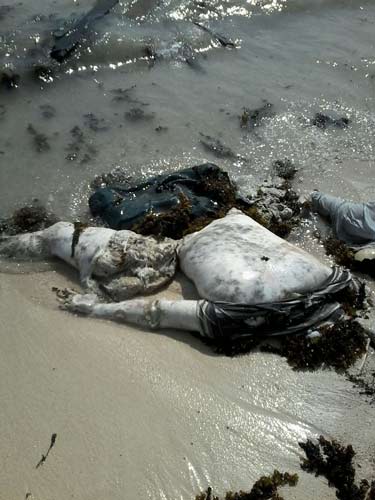 بالصور والفيديو..هكذا تثبت مجزرة الحديدة بحق صيادي الأسماك وحشية العدوان السعودي واستخدامه اسلحة محرمة