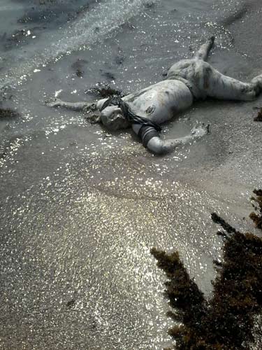 بالصور والفيديو..هكذا تثبت مجزرة الحديدة بحق صيادي الأسماك وحشية العدوان السعودي واستخدامه اسلحة محرمة