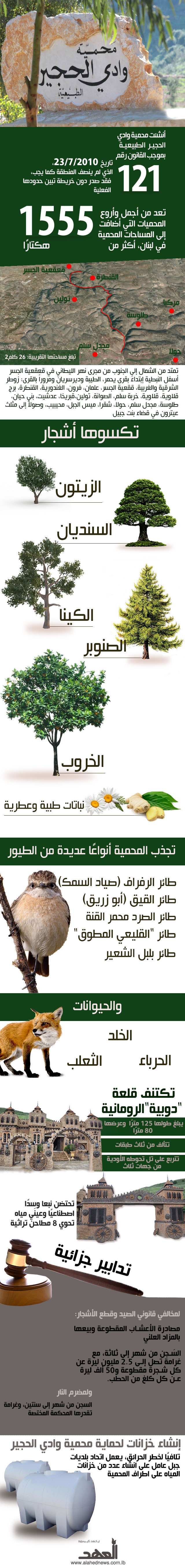 محمية وادي الحجير