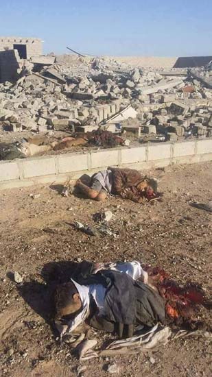 بالصور- مجزرة جديدة يرتكبها العدوان السعودي في محافظة الحديدة باليمن


