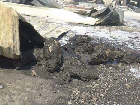 بالصور- مجزرة جديدة يرتكبها العدوان السعودي في محافظة الحديدة باليمن


