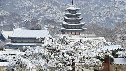 موجة صقيع لم تشهدها ’هاواي الكورية’ منذ ثلاثة عقود: الثلوج تحاصر 86 ألف شخص