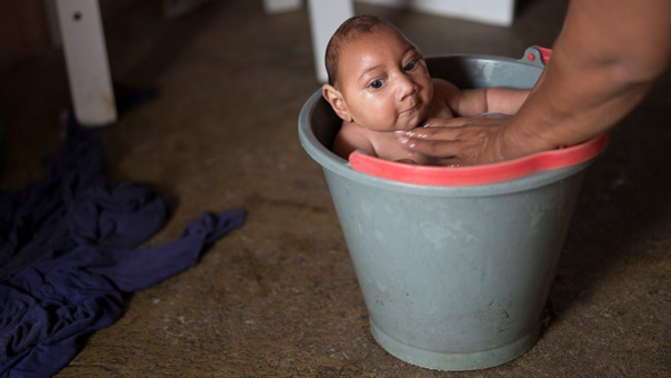 منظمة الصحة العالمية: لقاح &rsquo;زيكا&rsquo; سيكون في الأسواق خلال عام ونصف