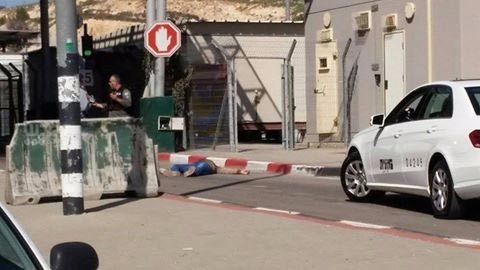 أطفال فلسطين يُقتلون على حواجز الاحتلال.. 3 شهداء في جنين والعبيدية