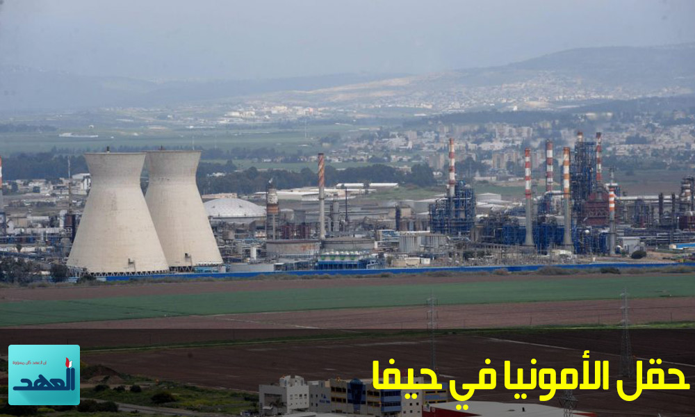 كيان العدو: خليج حيفا قنبلة موقوتة.. خُمس كمية الامونيا كاف لقتل 17 ألف شخص