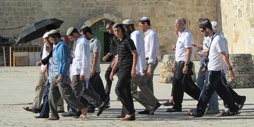 المستوطنون يواصلون استباحتهم لـ&rsquo;الأقصى&rsquo; .. والاحتلال يعتقل المزيد من الأمهات في &rsquo;يوم المرأة العالمي&rsquo;؟!