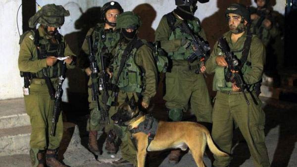 استمرار مسلسل الاعتقالات في الضفة والقدس المحتلتين.. وآليات العدو تتوغل جنوب قطاع غزة