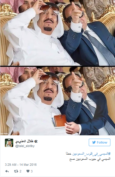 مغردون سعوديون للسيسي: &rsquo;يا بتاع الرز إيدك في جيوب السعوديين&rsquo;