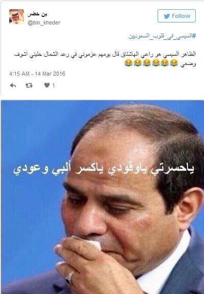 مغردون سعوديون للسيسي: &rsquo;يا بتاع الرز إيدك في جيوب السعوديين&rsquo;