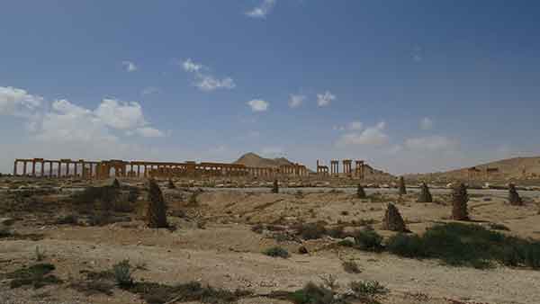 تدمر المُحرّرة من الإرهاب التكفيري.. بالصور 