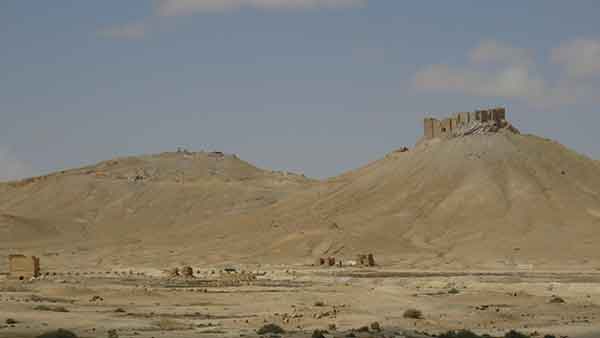 تدمر المُحرّرة من الإرهاب التكفيري.. بالصور 