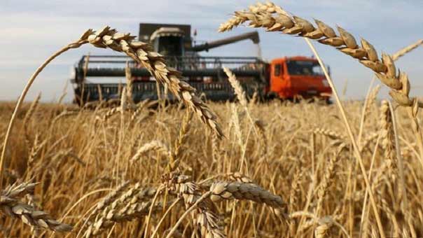 موسكو وطهران تتفقان على بناء محطة لتوليد الطاقة وتبحثان إمكانية تطبيق نظام تجارة حر بينهما