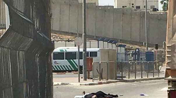 استشهاد فلسطينيين برصاص الاحتلال عند حاجز قلنديا العسكري شمالي القدس المحتلة