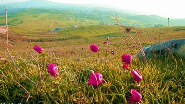  الكل رابح جنوباً... فوز الـ&rsquo;ستاتيكو&rsquo; الحزبي &ndash; العائلي
