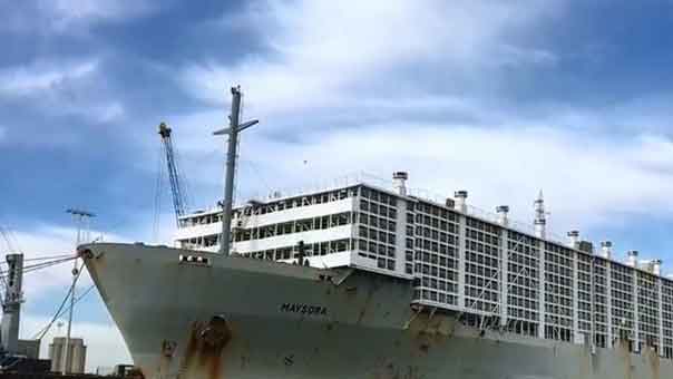 لا أغنام اسرائيلية في الكويت