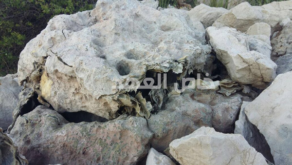 بالصوّر والفيديو: جهاز تجسس للعدو على شاكلة صخرتين بجبل عميق  