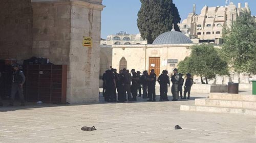 سقوط عدد من الجرحى والمعتقلين أثناء تصدّي المرابطين في المسجد الأقصى لقوات الاحتلال والمستوطنين