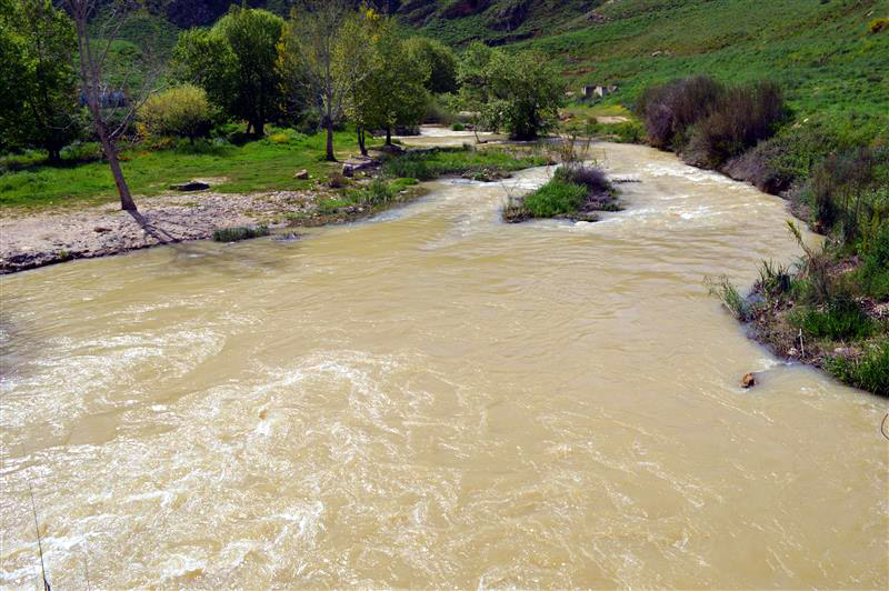 نسبة تلوث الليطاني 37% وتحذيرات من السباحة فيه!