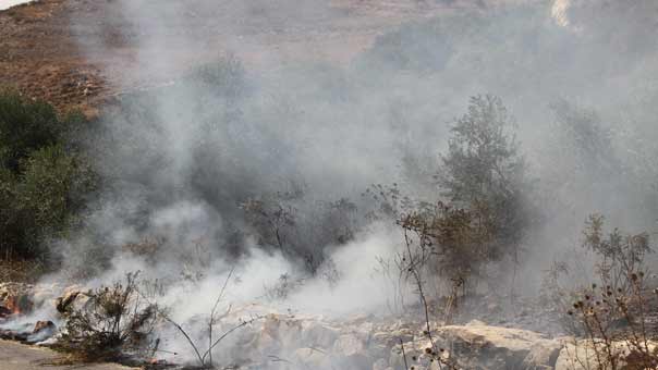 حرائق مناطق عربصاليم حومين حبوش وجنى سنوات يضيع بسبب إهمال الدولة