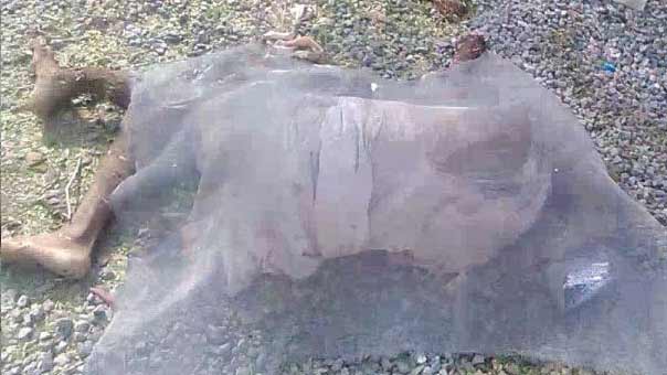 همجية ال سعود تطال المستشفيات وتقتل الاطفال في اليمن