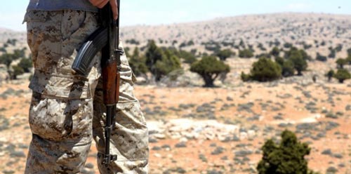 قائد العمليات الميدانية في سوريا تعليقًا على الهدنة: معركة حلب شكّلت ضربة قاسمة للمجموعات الإرهابية والرد سيكون قويًا على أي خروقات