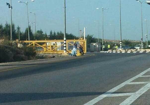 إصابة طفلة برصاص الإحتلال شرق قلقيلية بزعم محاولتها تنفيذ عملية .. واعتقالات بالجُملة في الضفة والقدس