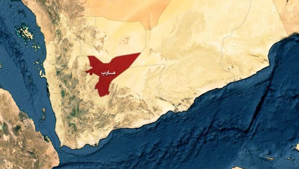 مقتل قائد العدوان السعودي في مأرب في عملية نوعية للجيش اليمني واللجان الشعبية