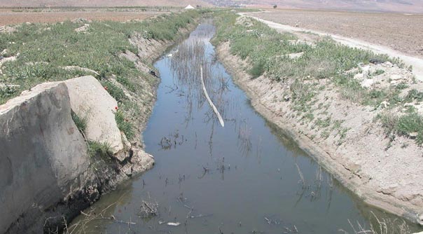 فعاليات اليوم الوطني لحماية نهر الليطاني تبدأ غدا