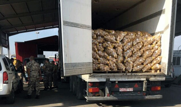 الجمارك اللبنانية تضبط كمية كبيرة من الحبوب المخدرة في مرفأ طرابلس متوجهة الى السعودية 