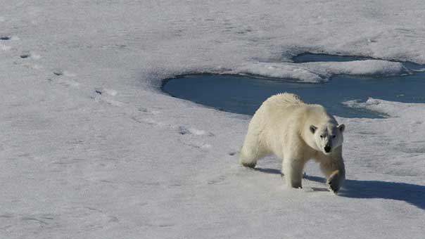 أميركا تسعى لتوسيع مساحتها بـ 14 ألف كيلومتر مربع