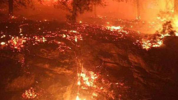 حرائق في أحراش مستعمرات القدس المحتلة ومخاوف صهيونية من وصولها إلى مواقع &rsquo;استراتيجية&rsquo;