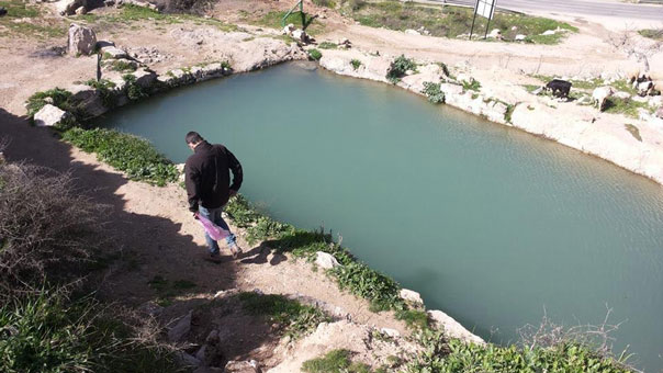 قطار التهويد الصهيوني يصل منابع قرية &rsquo;الولجة&rsquo; التاريخية جنوبي القدس المحتلة