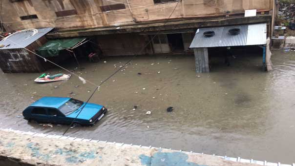 الابيض غطّى لبنان .. والعاصفة تنحسر مخلّفة أضراراً في المزروعات والمنازل