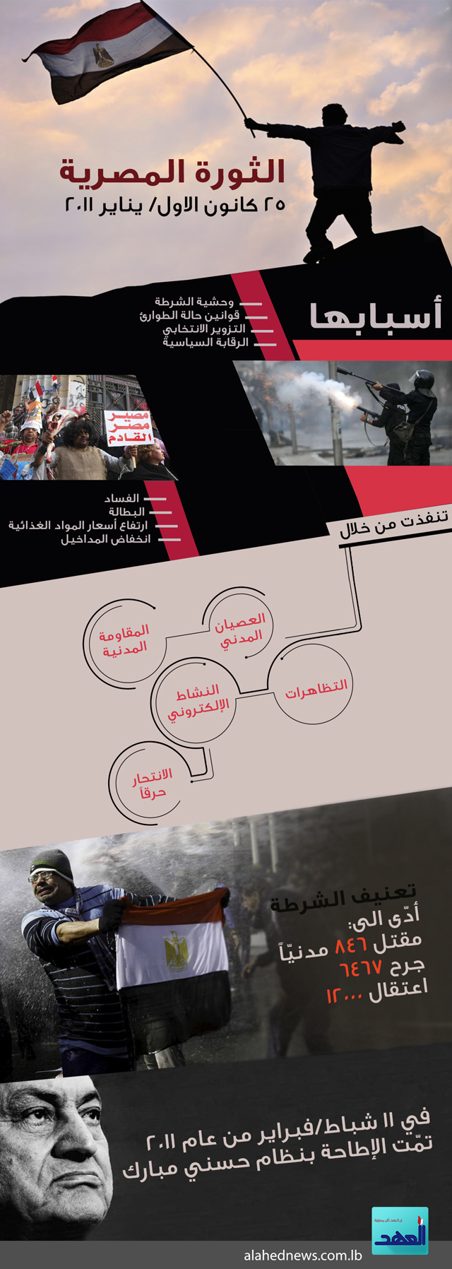 الثورة المصرية - 25 كانون الاول/ يناير 2011