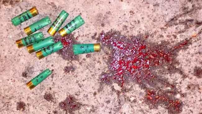 مشاهد الدراز توثّق جرائم النظام: هجوم دموي يصدّه الفدائيون