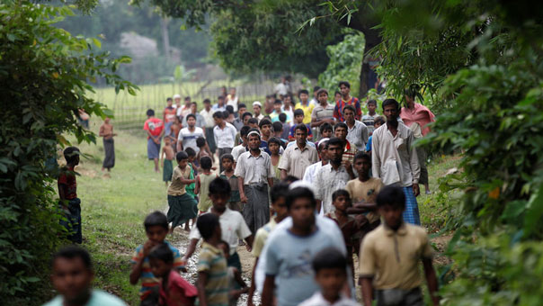 الأمم المتحدة : جيش ميانمار قتل أكثر من ألف من مسلمي الروهينغا