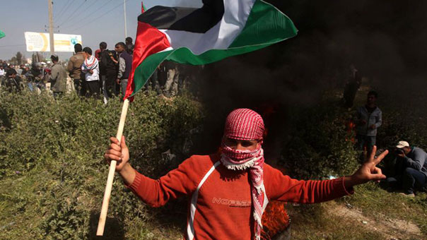  41 عاماً على &rsquo;يوم الأرض&rsquo; والفلسطينيون يكافحون الاستيطان.. بالزراعة