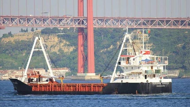 &rsquo;جبهة النصرة&rsquo; تستورد الأسلحة البلغارية عبر دولة خليجية