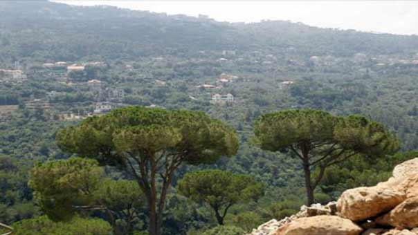 إحدى غابات لبنان