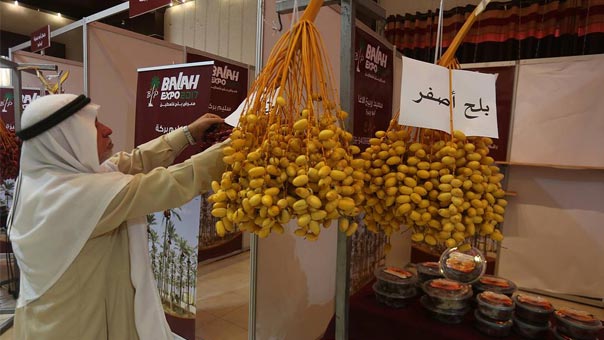 نخيل غزة..إنتاجٌ وفيرٌ يحبسه الحصار الصهيوني   