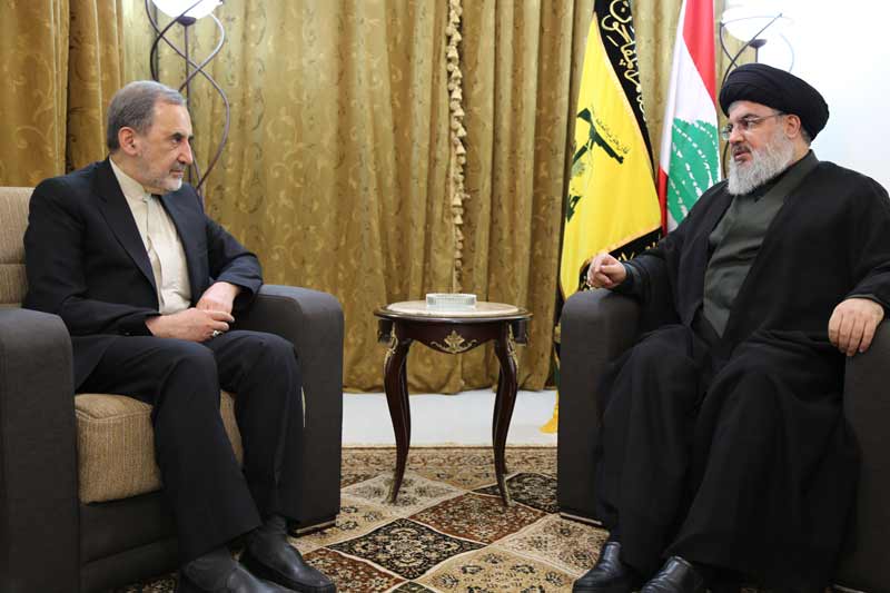 السيد حسن 
