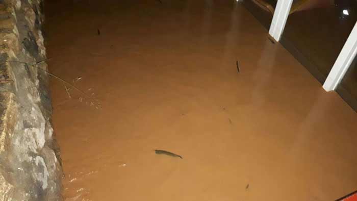 بالصور: السيول تجتاح مجرى نهر العاصي بالهرمل