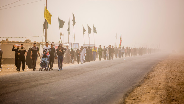 طوفان بشري تشهده كربلاء المقدسة في ذكرى أربعين الإمام الحسين (ع)