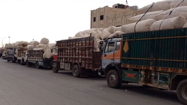بعد تحريرها من إرهابيي &rsquo;داعش&rsquo;.. دير الزور بدأت بتسويق محاصيلها من القطن
