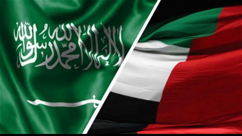 تحالف سعودي إماراتي منفصل عن مجلس التعاون الخليجي