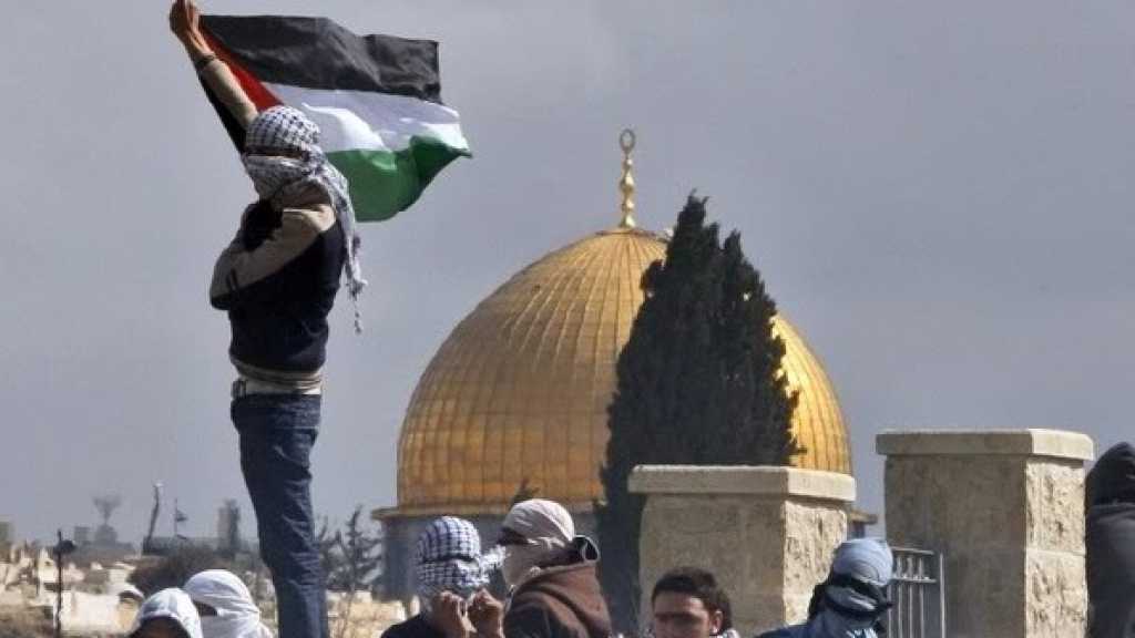 مواجهات متواصلة في الضفة وحدود قطاع غزة مع الاحتلال