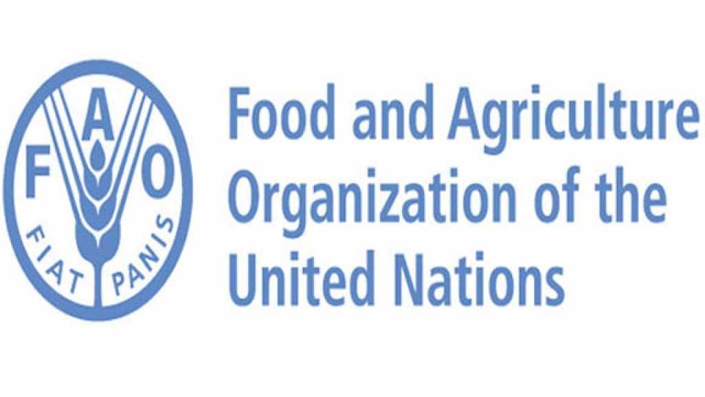 &rsquo;فاو&rsquo;: الحرب في سوريا &rsquo;كلفت الكثير&rsquo;