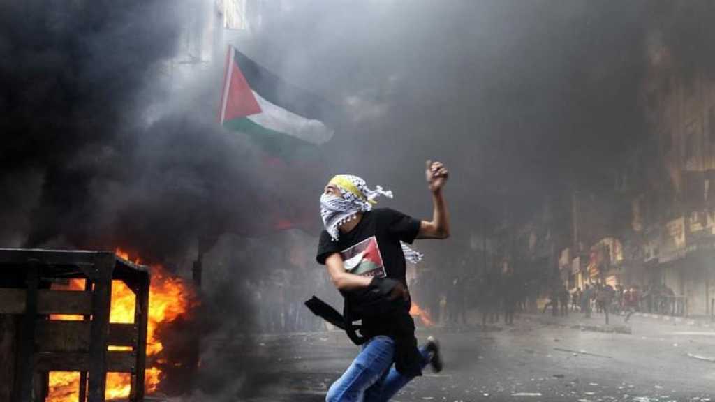 الانتفاضة مستمرة .. شهيدان في غزة وعشرات الاصابات بالرصاص الحي في الضفة