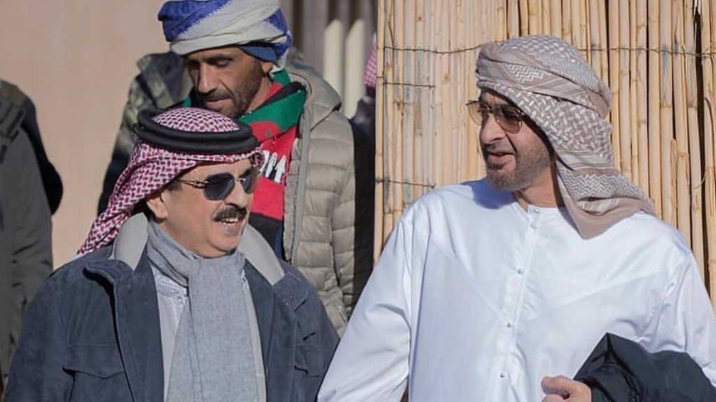 أمراء الخليج منشغلون بصيد صقور المغرب